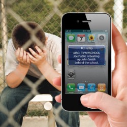free_anti_bullying_solution_300-250x250.jpg