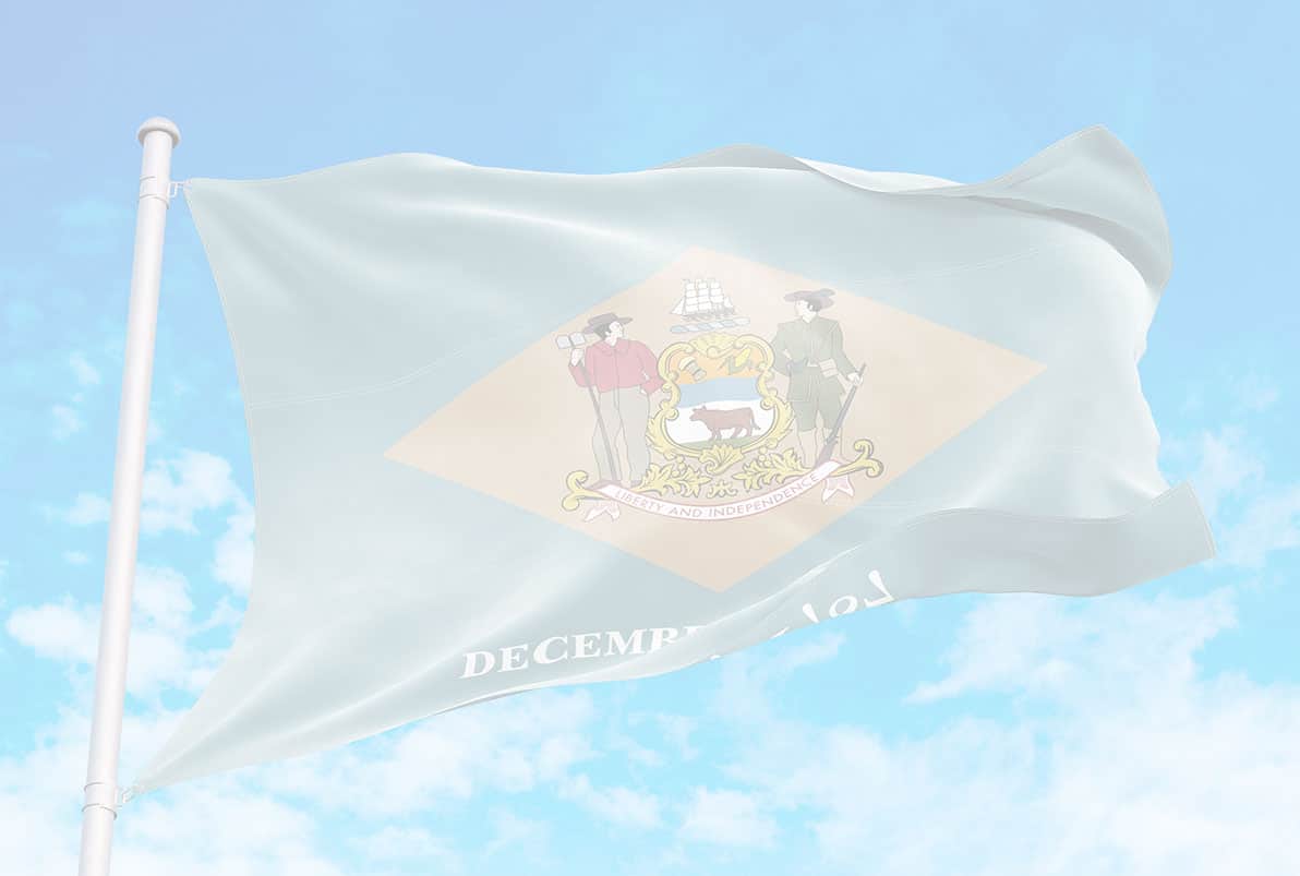Delaware State Flag