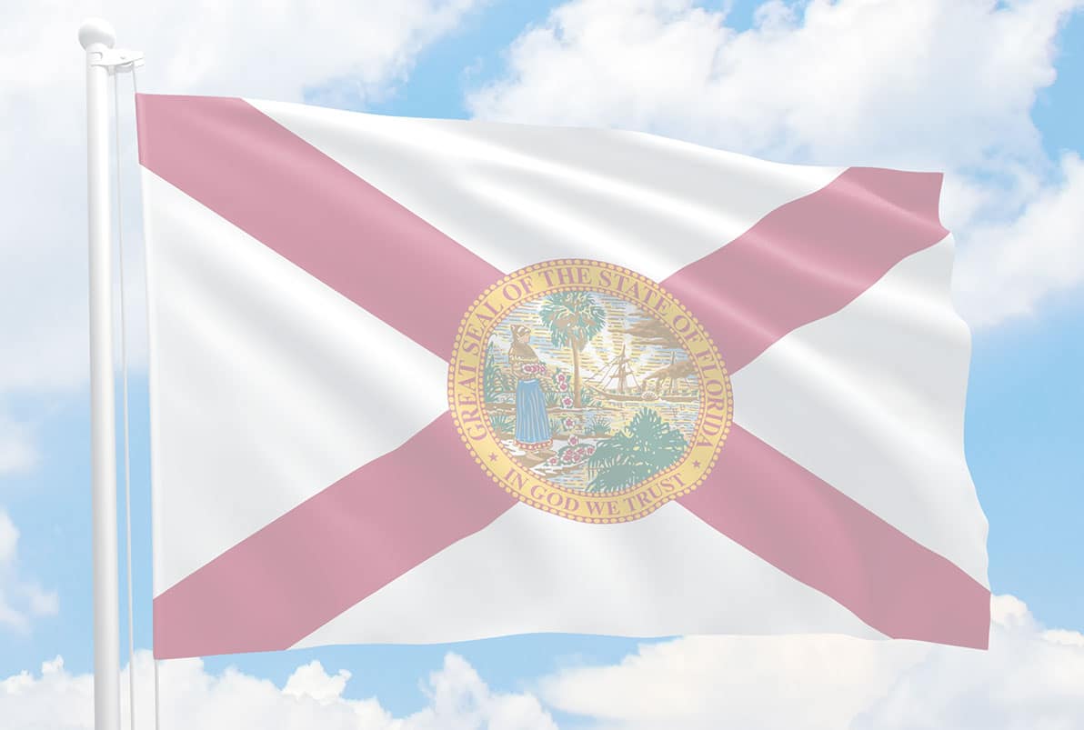 Florida Gun Violence Statistics