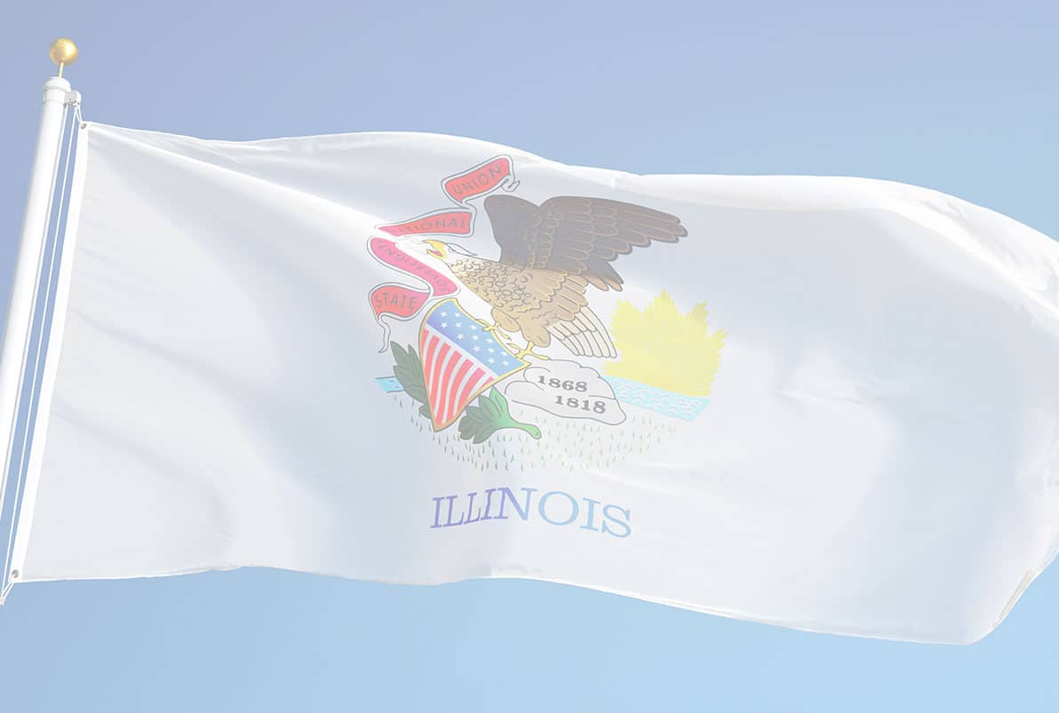 Illinois Gun Violence Statistics