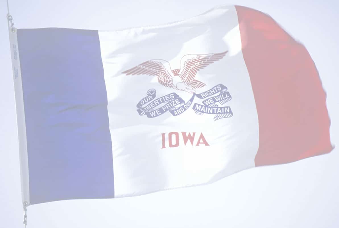 Iowa State Flag