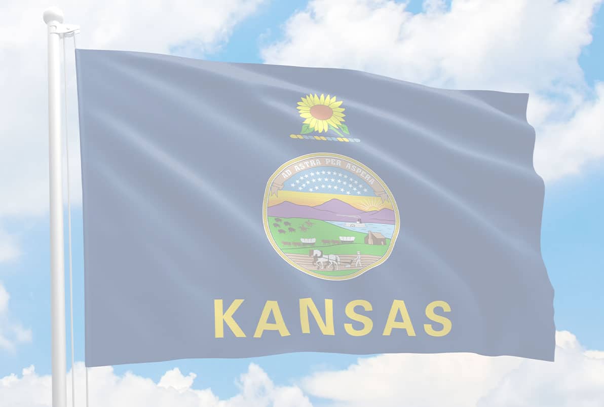 Kansas Gun Violence Statistics