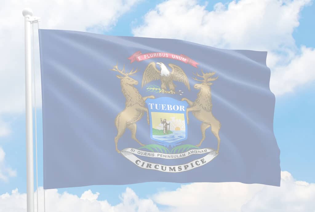 Michigan Gun Violence Statistics