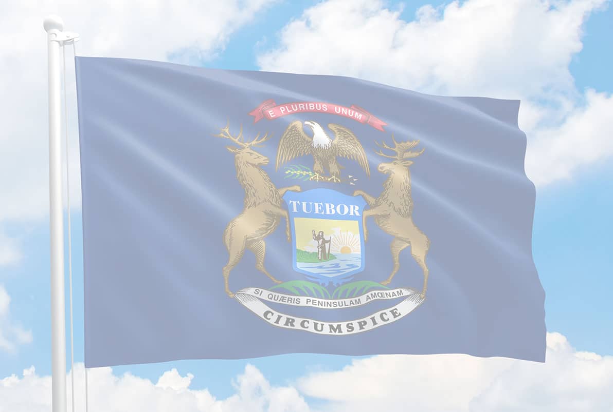 Michigan Gun Violence Statistics