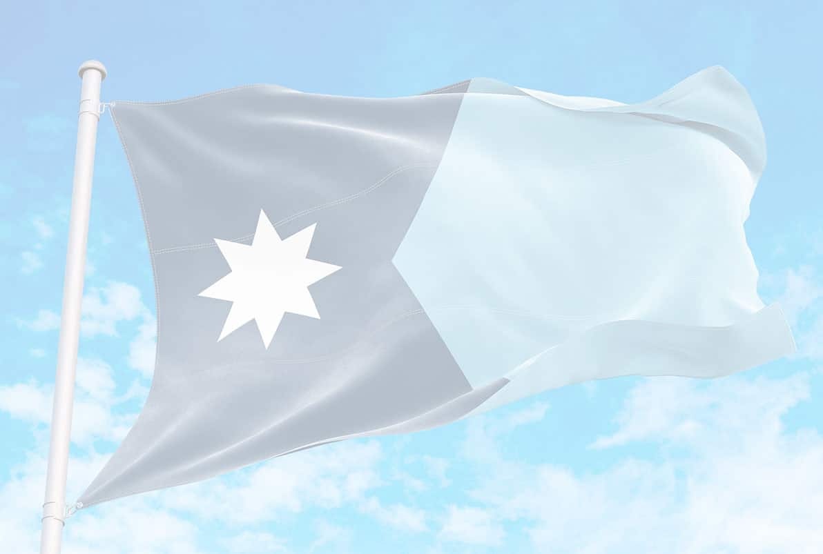 Minnesota State Flag