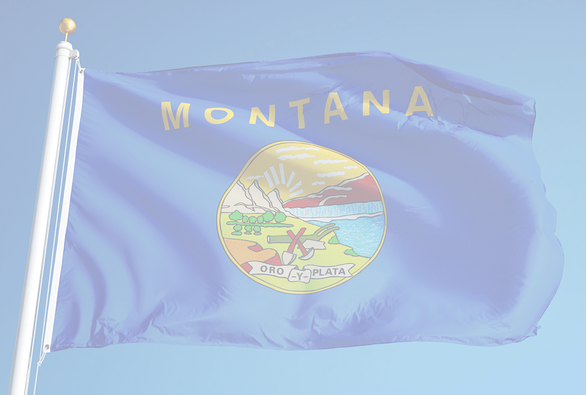 Montana State Flag