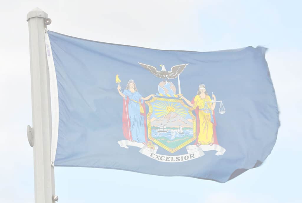 New York Gun Violence Statistics