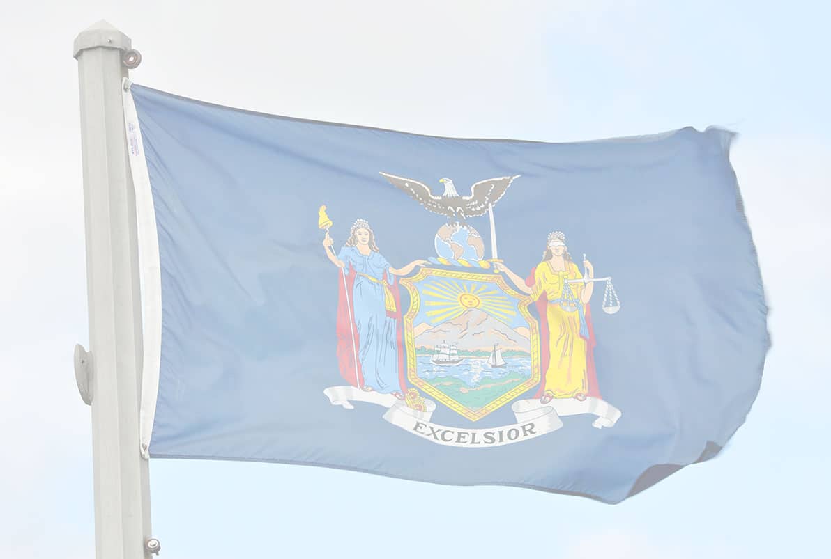 New York Gun Violence Statistics