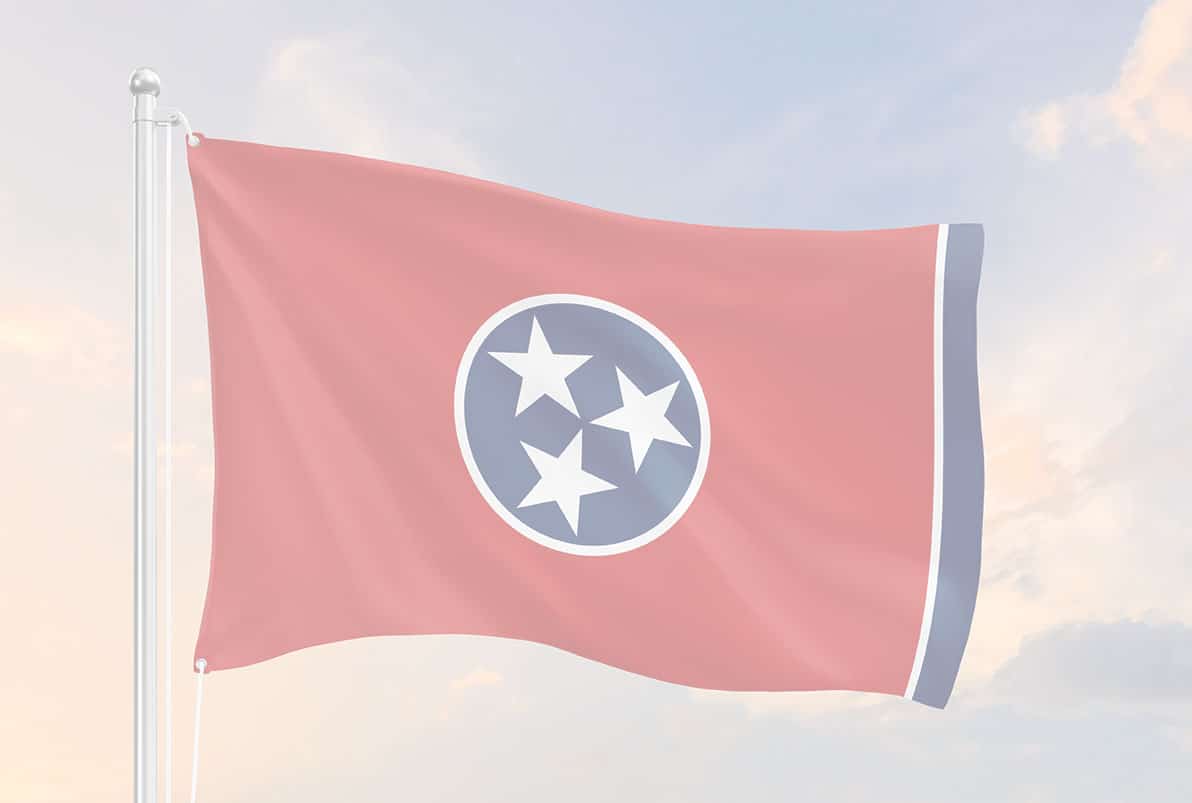 Tennessee Gun Violence Statistics