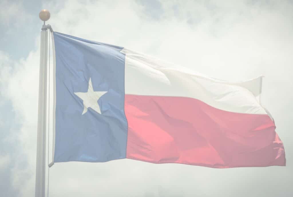 Texas Gun Violence Statistics