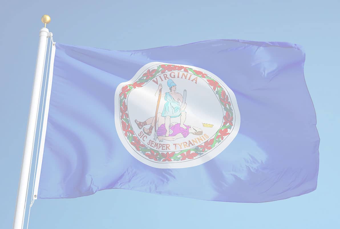 Virginia Gun Violence Statistics